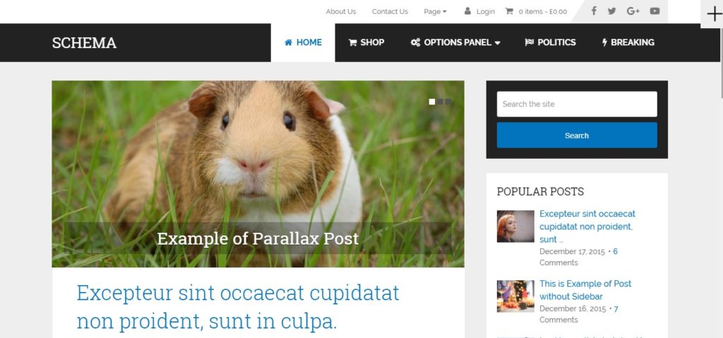 Wordpress Tech Blog Theme