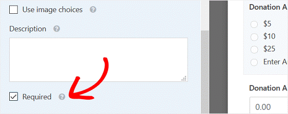 Nonproft Donation Form3